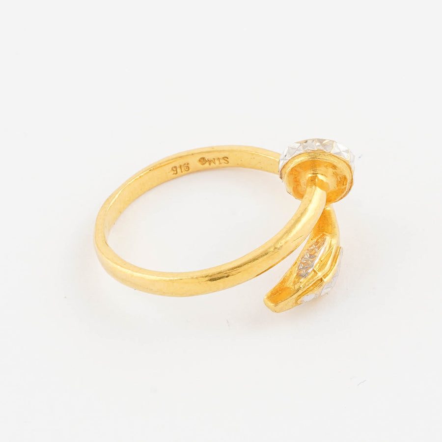 Cincin Paku