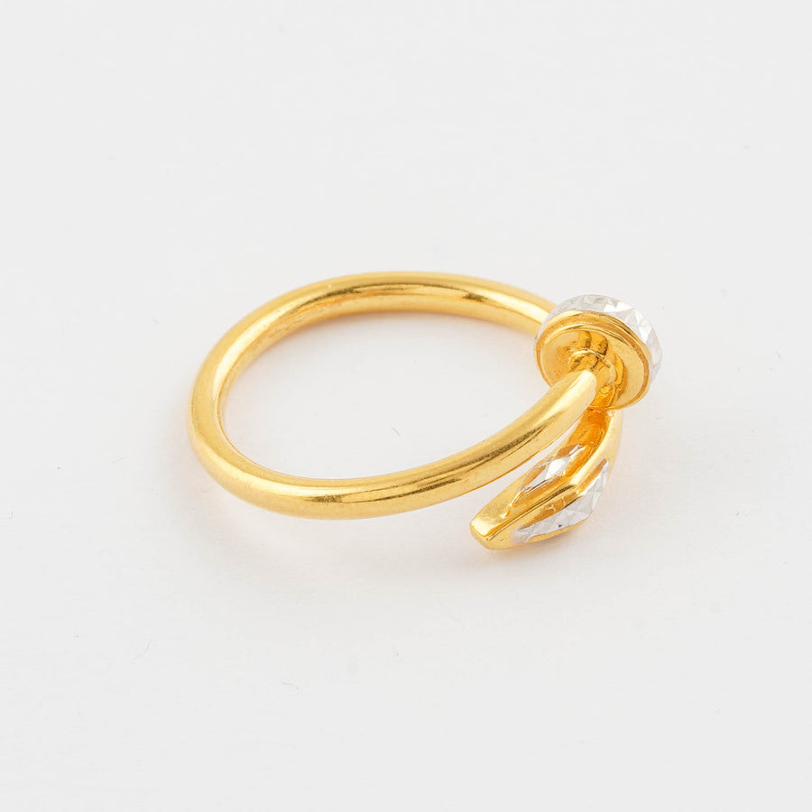 Cincin Paku